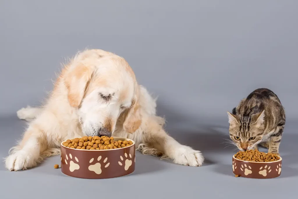 Pets Nutrition
