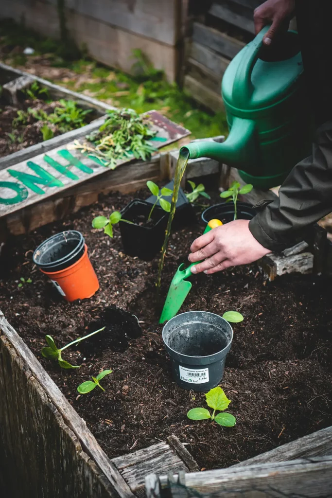 Small Space Gardening